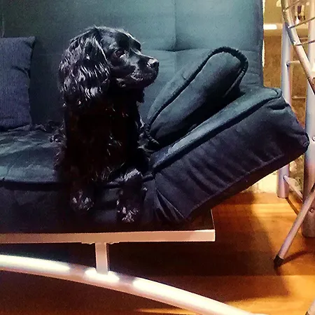 Apartment En Casco Historico De *